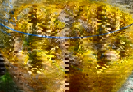 Land baring Wittness